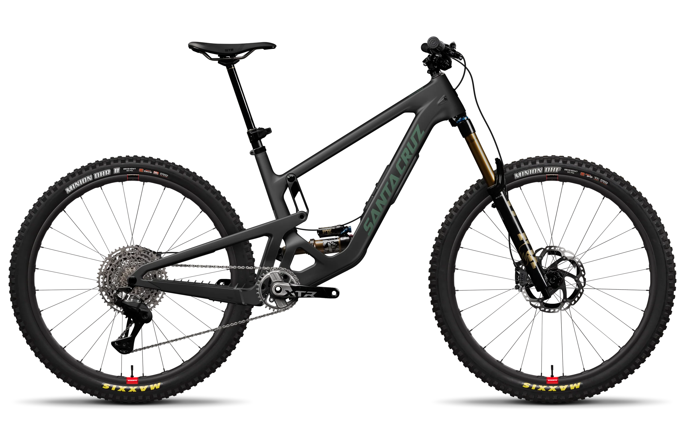 Santa Cruz